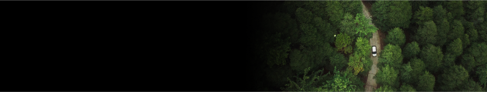 Car traveling through the woods