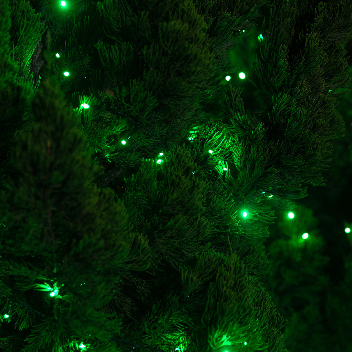 Stockholm Christmas Lights 400 LED Fairy String Green