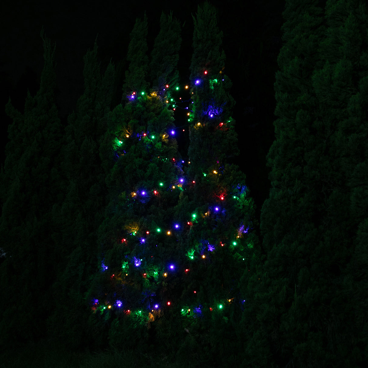 Stockholm Christmas Lights Solar USB 300 LED String Multi