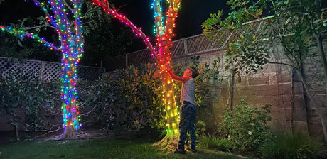 13 Amazing Ways to Use Solar Christmas Lights All Year Round