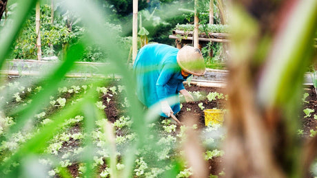 9 Tips for Using Cordless Power Tools in the Garden