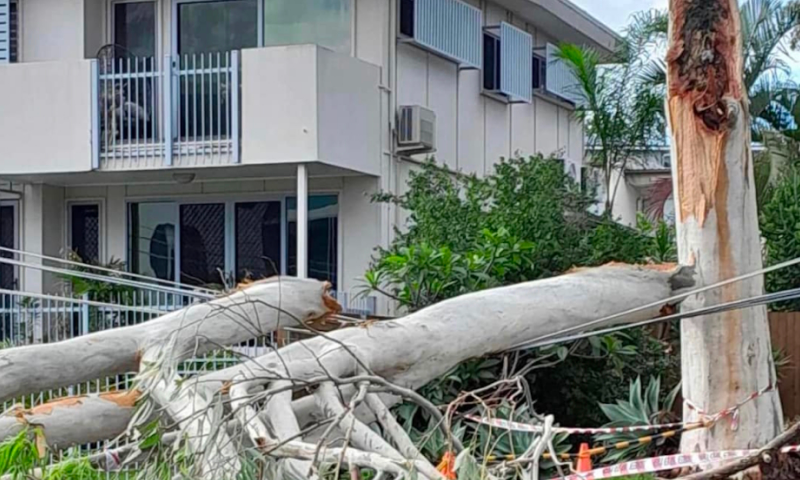 Surge in Demand for Generators as Storm Season Looms Outbax