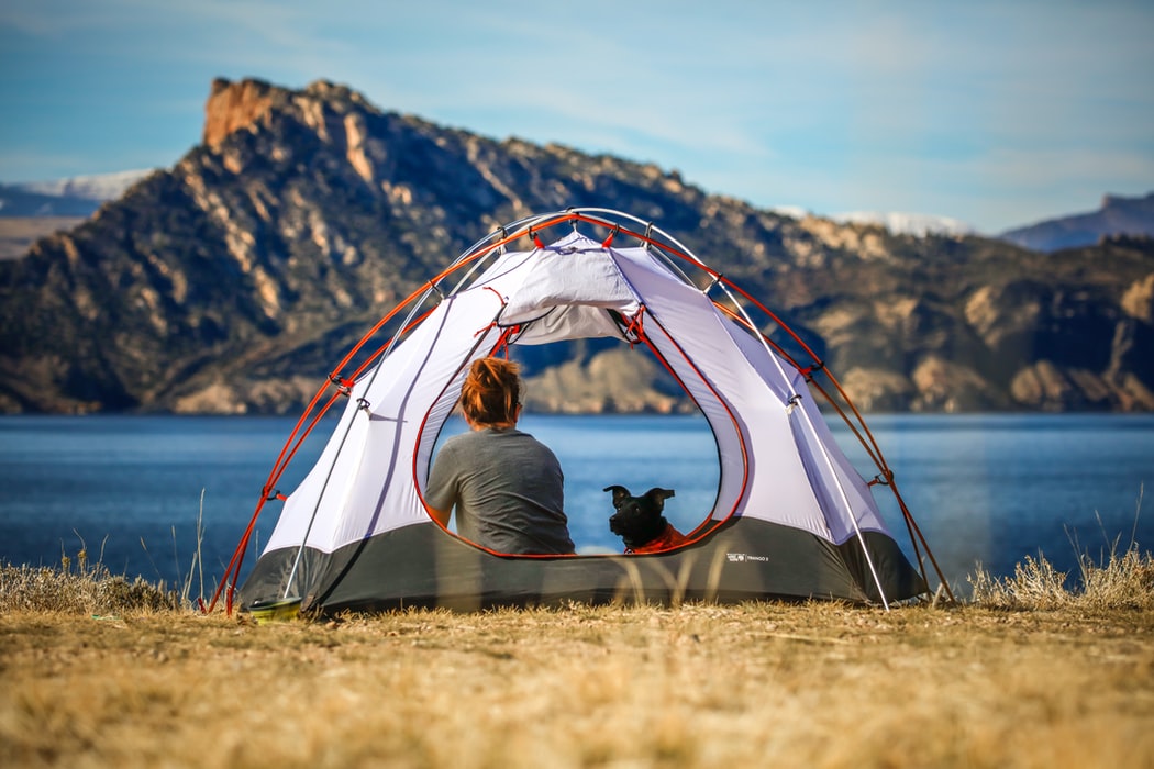 Camping with Dogs Outbax