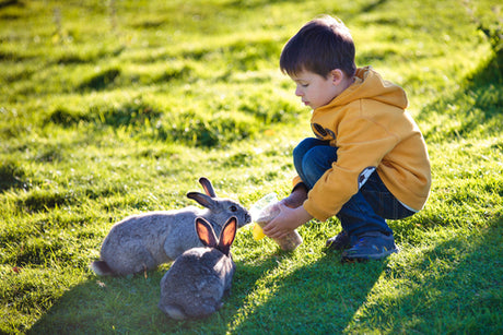 Top 8 Family Camping Spots for Easter