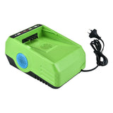 Neovolta 60V Lithium-ion Battery Charger