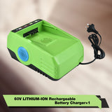 Neovolta 60V Lithium-ion Battery Charger