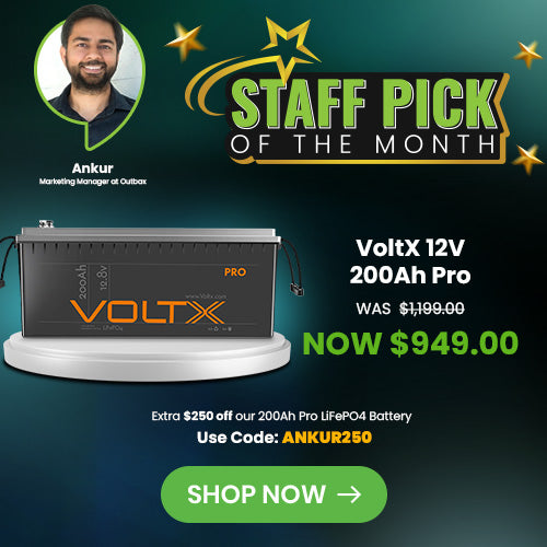 Ankur Staff Pick of the Month