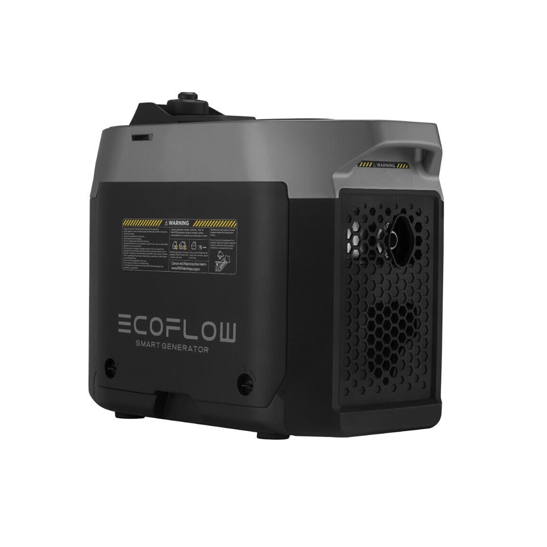 ECOFLOW Smart Gas Generator