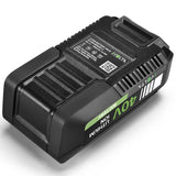 Neovolta 40V 2.5Ah Lithium-Ion Battery Pack