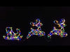 Stockholm Christmas Lights 224 LED Acrylic Sleigh Deers Multi Color Wedding