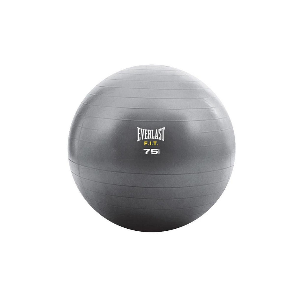 Everlast Core Strength Ball 75cm - Grey