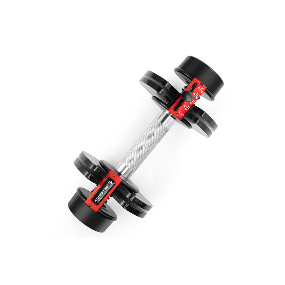 Fortis dumbbells best sale