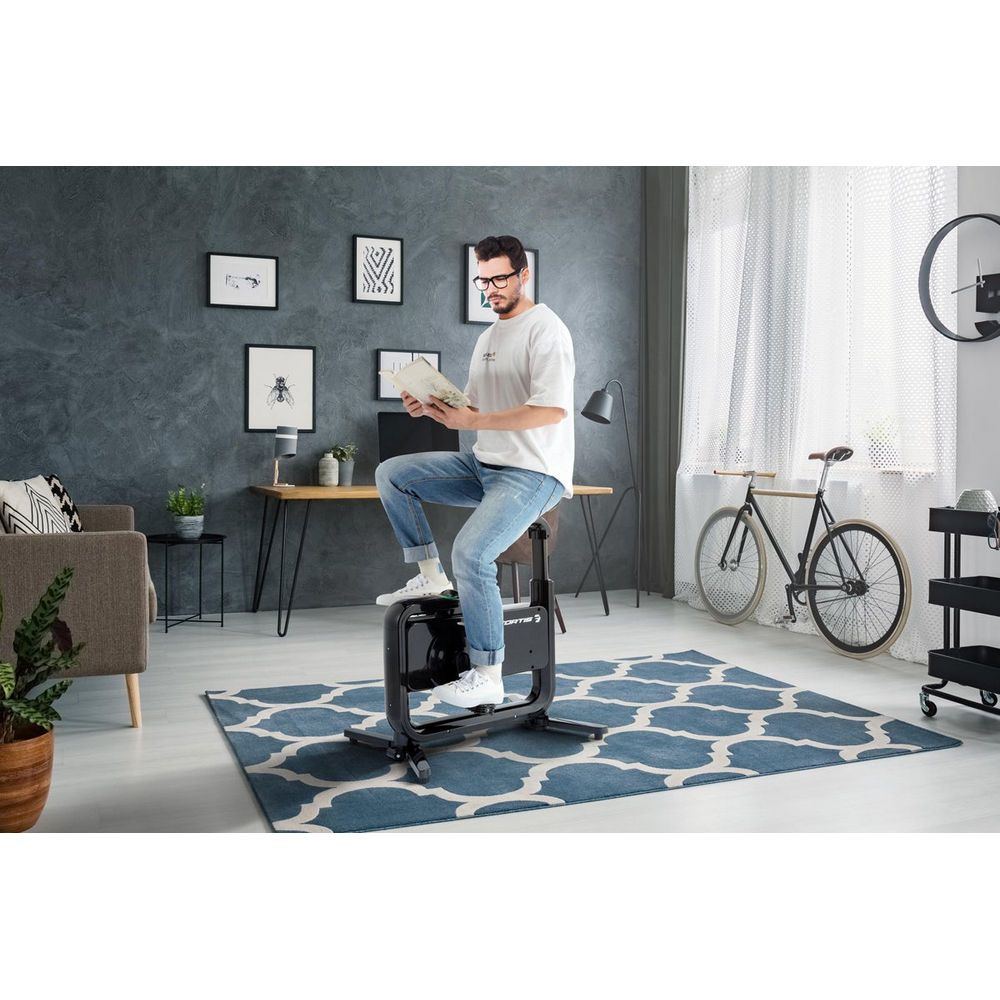 fortis home & office exercise bike