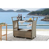 Shangri-La Balmain Outdoor Furniture Bar Cart (Dark Grey)