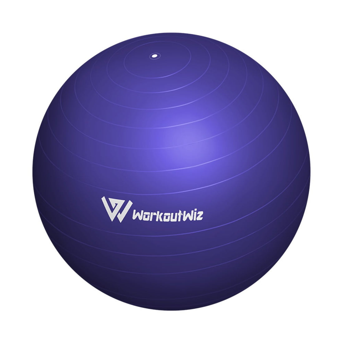 Home Gym Exercise Fitness Swiss Ball 75 Diameter Purple