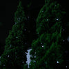 Stockholm Christmas Lights Solar LED Fairy Lights Cool White 500 LEDs Decor