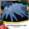 Outdoor Christmas Lights LED 100pc Low Voltage Transformer Cool White Flashing