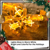 Outdoor LED Edison String Lights 10pc with Timer Christmas Display (CLEARANCE)