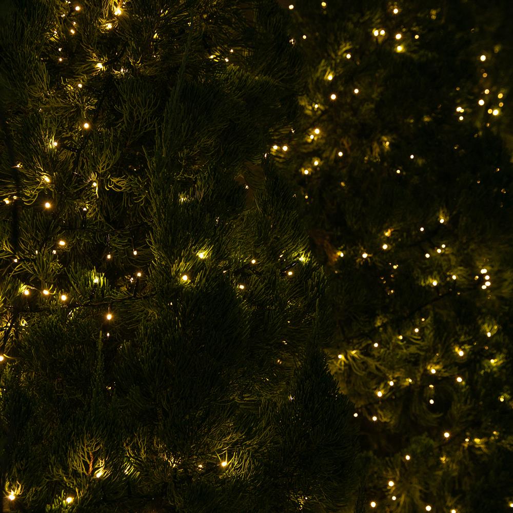 Stockholm Christmas Lights LED Fairy Lights Treebright 2000 LEDs Warm White