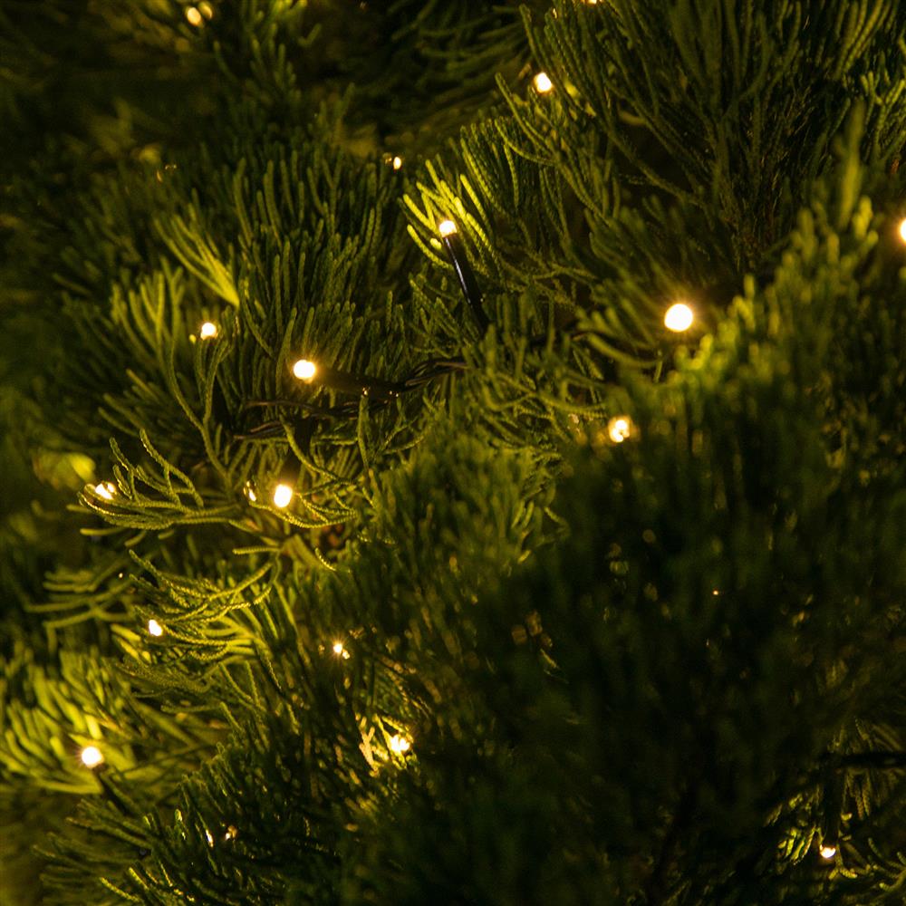 Stockholm Christmas Lights LED Fairy Lights Treebright 2000 LEDs Warm White