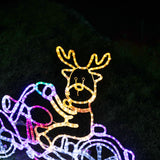 Stockholm Christmas Lights Motif 24 LED Ropelight Reindeer Motorbike