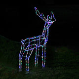 Stockholm Christmas Lights Motif LED Tubelight Standing Reindeer Multi