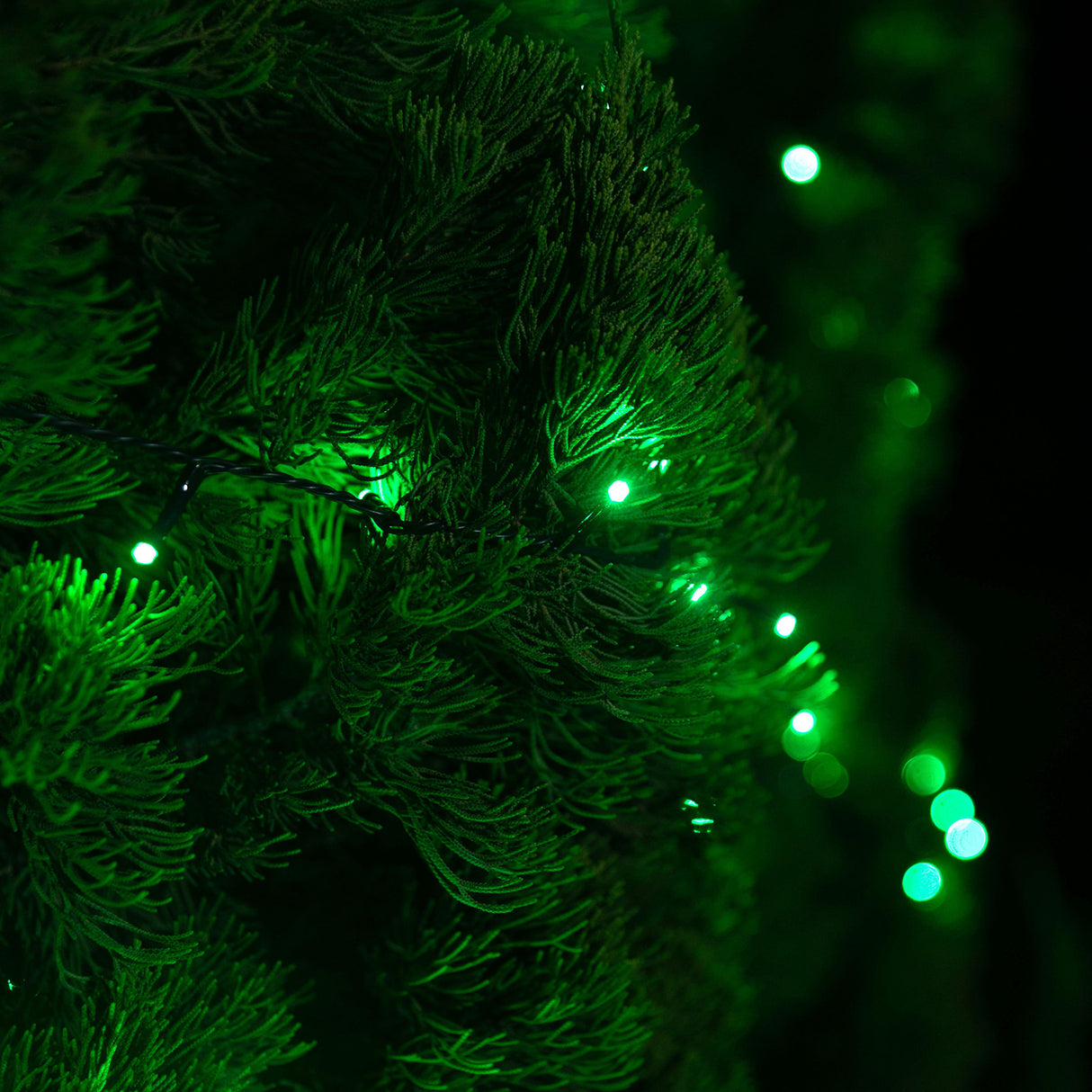 Stockholm Christmas Lights 400 LED Fairy String Green