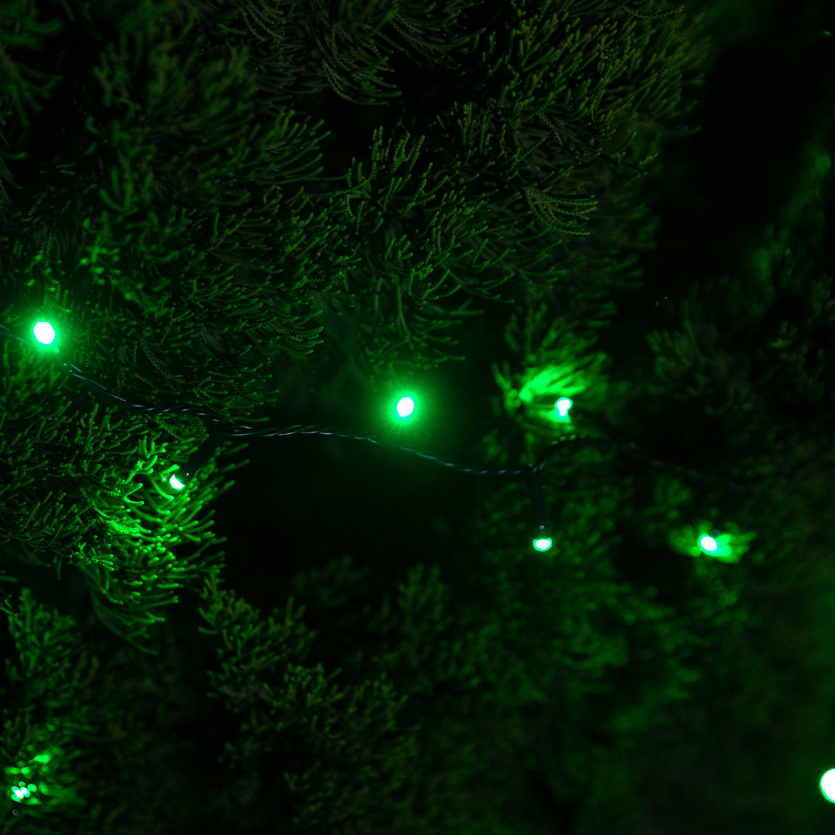 Stockholm Christmas Lights 400 LED Fairy String Green