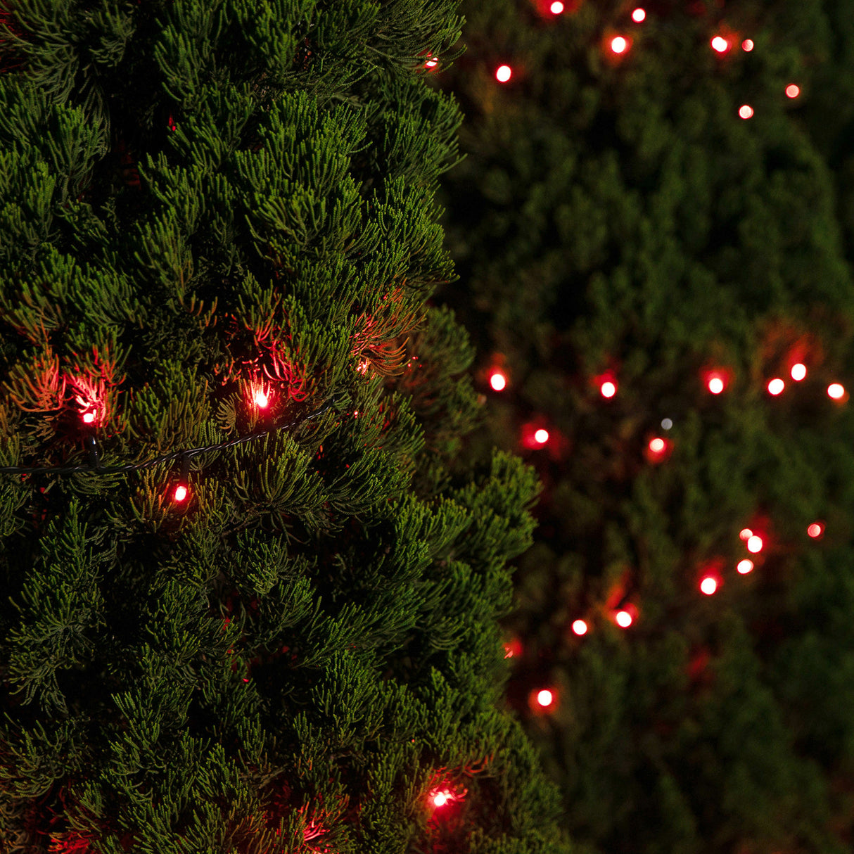 Stockholm Christmas Lights 400 LED Fairy String Red